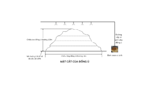 MAT CAT DONG U Mặt cắt đống ủ
