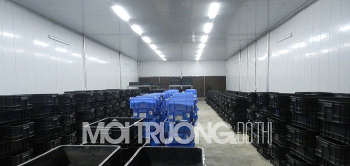 Đặng Xá (Gia Lâm): Nuôi giun để xử lý chất thải, cải tạo môi trường dang xa gia lam nuoi giun de xu ly chat thai cai tao moi truong 1