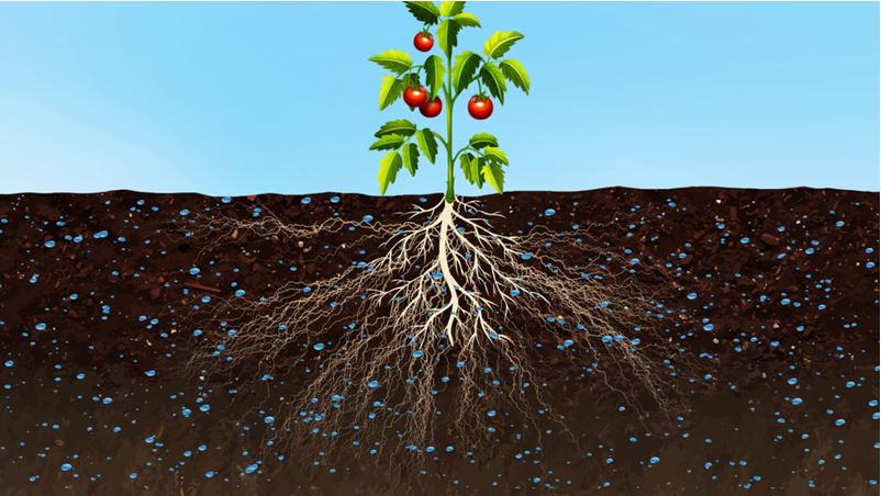 vi sinh cai tao dat 1