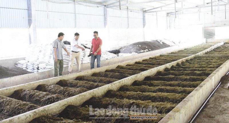 Xã Đặng Xá, huyện Gia Lâm: Bảo vệ môi trường hướng đến xây dựng đô thị văn minh xa dang xa huyen gia lam bao ve moi truong huong den xay dung do thi van minh 1