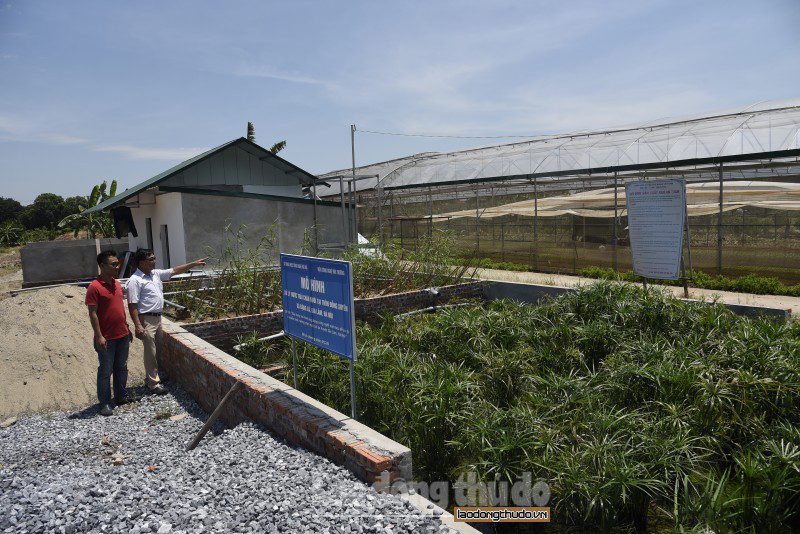 Xã Đặng Xá, huyện Gia Lâm: Bảo vệ môi trường hướng đến xây dựng đô thị văn minh xa dang xa huyen gia lam bao ve moi truong huong den xay dung do thi van minh