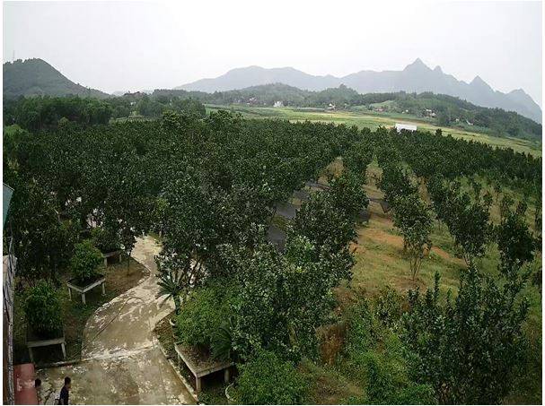 Công Nghệ Vi Sinh Cải Tạo đất