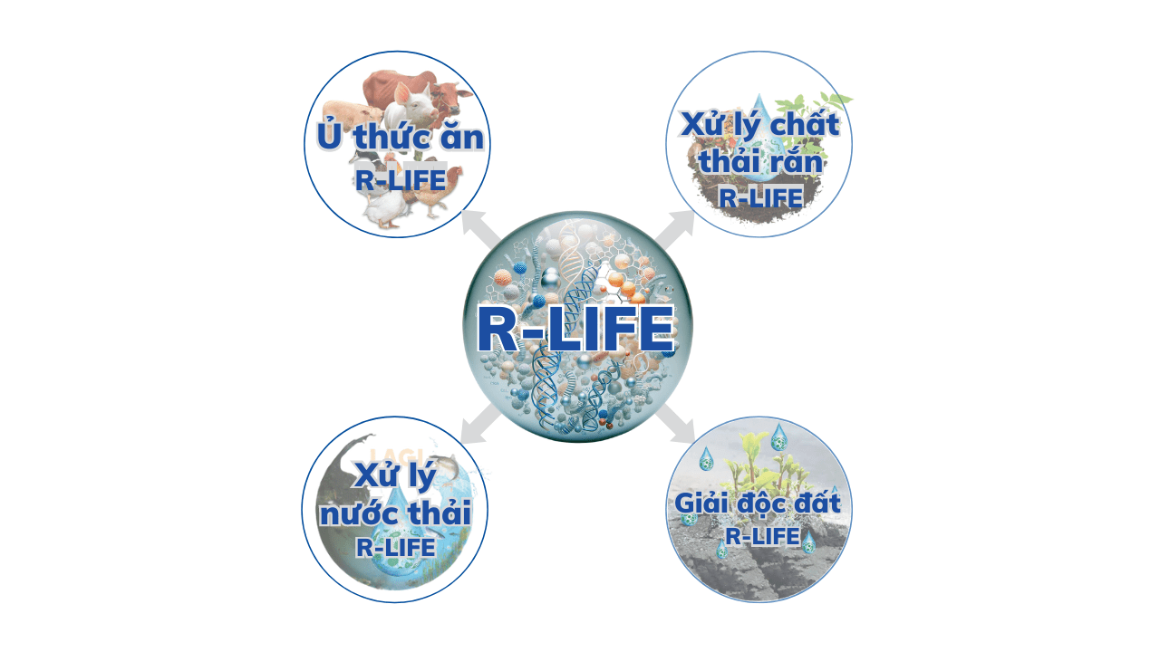 Hợp Tác Cùng Vi Sinh Vật Với Chế Phẩm Sinh Học R Life