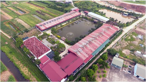 Hình ảnh Tổng Thể Htx Làng Gióng