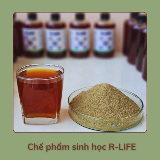 Chế Phẩm Sinh Học R Life Gốc