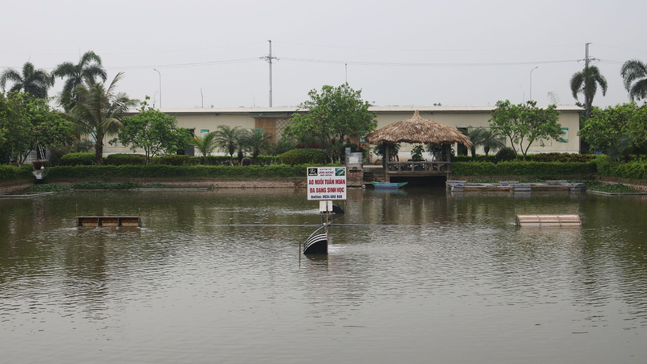 Quy Trình Xử Lý ô Nhiễm Nước Thải, ô Nhiễm Ao Nuôi