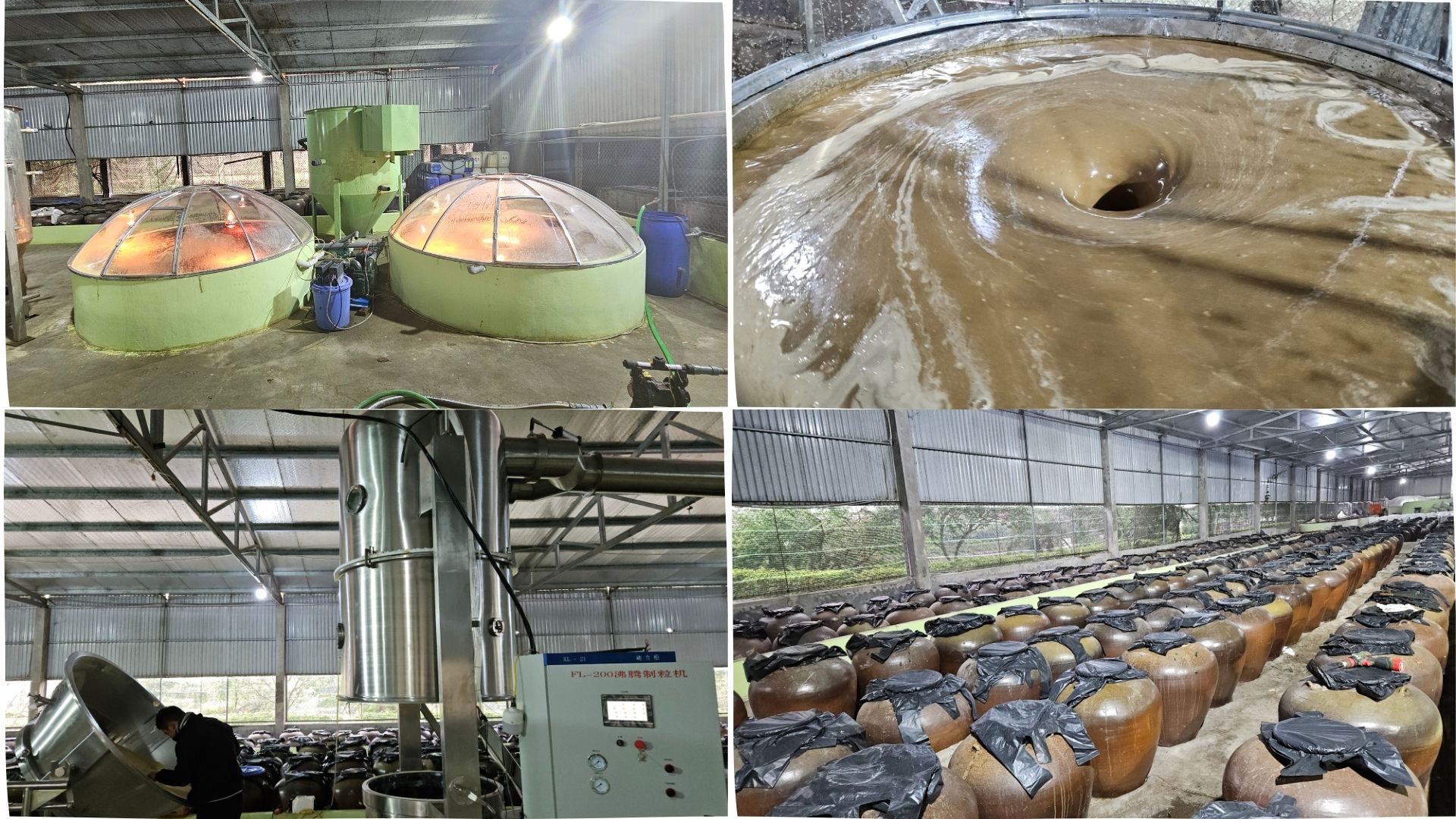 Chế Phẩm Sinh Học R Life Tinh Hoa Của Công Nghệ Sinh Học ứng Dụng Quy Luật Tự Nhiên